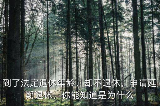 到了法定退休年齡，卻不退休，申請延期退休，你能知道是為什么