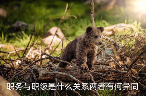 俞靈雨現(xiàn)在什么職務(wù),一級主任科員相當什么職務(wù)
