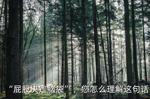 “屁股決定腦袋”，您怎么理解這句話