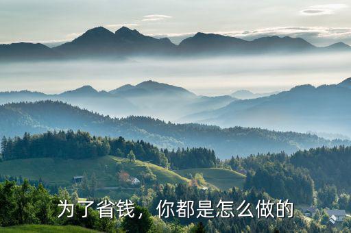 為了省錢，你都是怎么做的