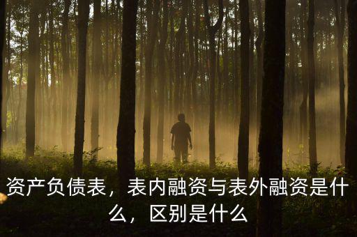 資產(chǎn)負(fù)債表，表內(nèi)融資與表外融資是什么，區(qū)別是什么