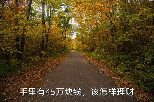 手里有45萬塊錢，該怎樣理財