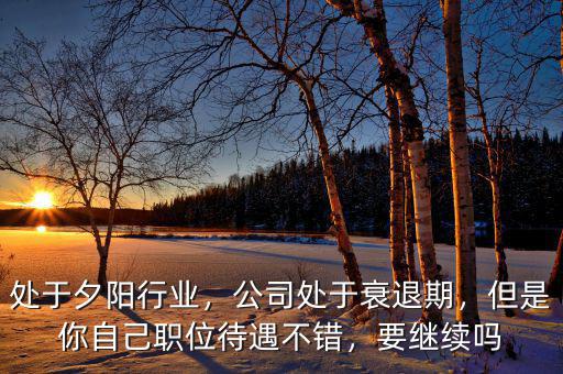 處于夕陽(yáng)行業(yè)，公司處于衰退期，但是你自己職位待遇不錯(cuò)，要繼續(xù)嗎