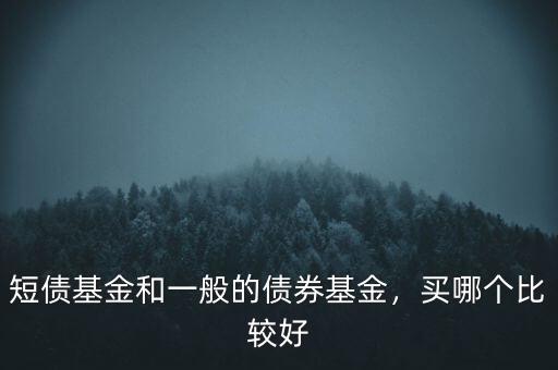 短債基金和一般的債券基金，買哪個(gè)比較好