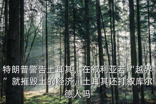 特朗普警告土耳其，在敘利亞若“越界”就摧毀土的經(jīng)濟，土耳其還打敘庫爾德人嗎