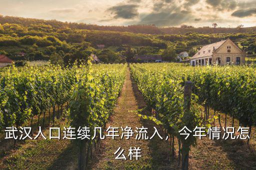 武漢人口連續(xù)幾年凈流入，今年情況怎么樣