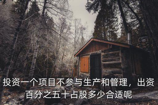 投資一個(gè)項(xiàng)目不參與生產(chǎn)和管理，出資百分之五十占股多少合適呢