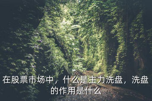 在股票市場(chǎng)中，什么是主力洗盤，洗盤的作用是什么