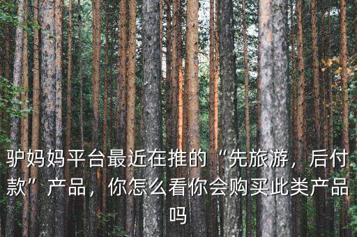 驢媽媽平臺最近在推的“先旅游，后付款”產(chǎn)品，你怎么看你會購買此類產(chǎn)品嗎
