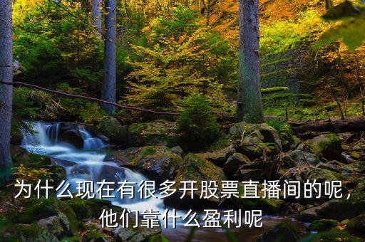 為什么現(xiàn)在有很多開股票直播間的呢，他們靠什么盈利呢