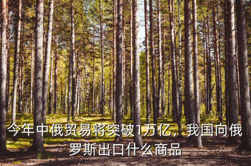今年中俄貿(mào)易將突破1萬(wàn)億，我國(guó)向俄羅斯出口什么商品