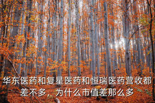 華東醫(yī)藥和復(fù)星醫(yī)藥和恒瑞醫(yī)藥營收都差不多，為什么市值差那么多