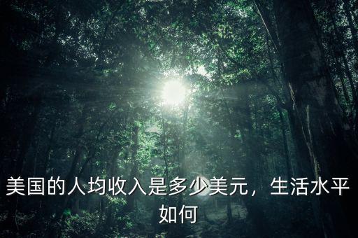 美國的人均收入是多少美元，生活水平如何