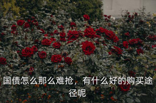 國(guó)債怎么那么難搶，有什么好的購(gòu)買途徑呢
