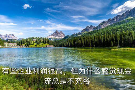有些企業(yè)利潤很高，但為什么感覺現(xiàn)金流總是不充裕