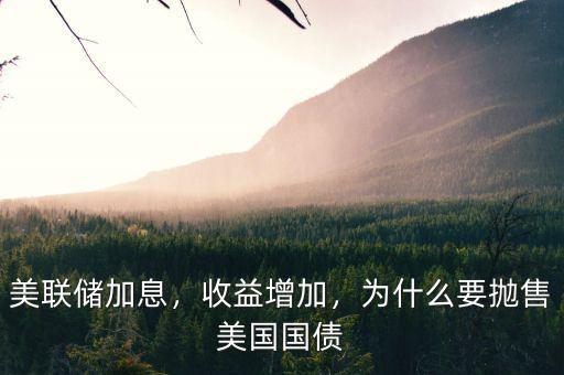 美聯(lián)儲加息，收益增加，為什么要拋售美國國債