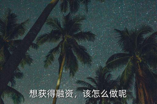 想獲得融資，該怎么做呢