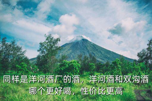 同樣是洋河酒廠的酒，洋河酒和雙溝酒哪個更好喝，性價(jià)比更高