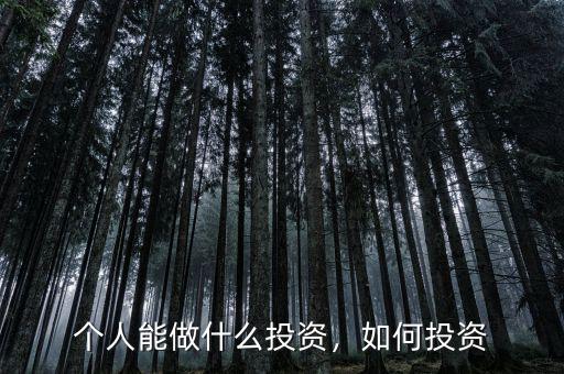 個(gè)人能做什么投資，如何投資