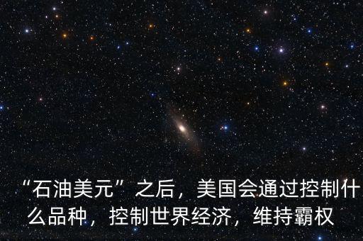 “石油美元”之后，美國會通過控制什么品種，控制世界經(jīng)濟，維持霸權(quán)