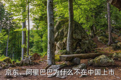 京東、阿里巴巴為什么不在中國上市