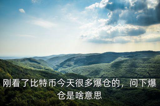 剛看了比特幣今天很多爆倉(cāng)的，問下爆倉(cāng)是啥意思