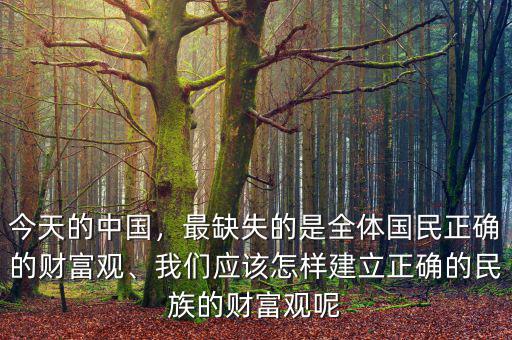 今天的中國，最缺失的是全體國民正確的財富觀、我們應(yīng)該怎樣建立正確的民族的財富觀呢