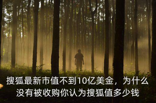 搜狐最新市值不到10億美金，為什么沒有被收購你認(rèn)為搜狐值多少錢