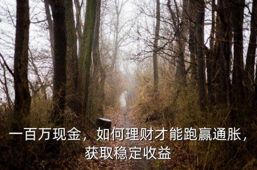 一百萬(wàn)現(xiàn)金，如何理財(cái)才能跑贏通脹，獲取穩(wěn)定收益