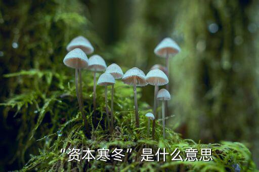 為什么說資本寒冬來(lái)了,資本寒冬是什么意思