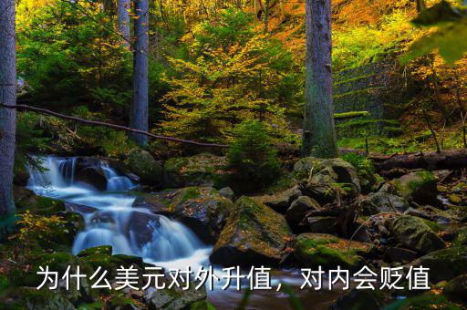 為什么美元對外升值，對內(nèi)會貶值