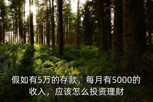 假如有5萬(wàn)的存款，每月有5000的收入，應(yīng)該怎么投資理財(cái)