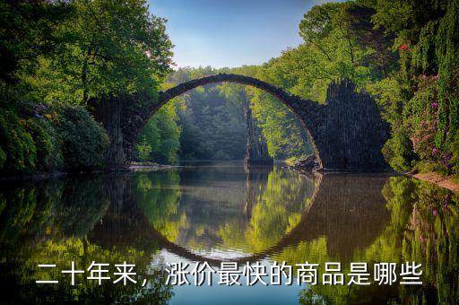 二十年來，漲價最快的商品是哪些