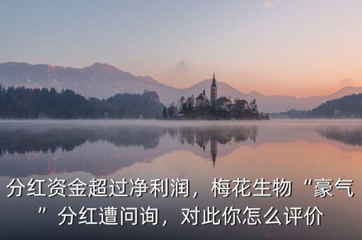 分紅資金超過(guò)凈利潤(rùn)，梅花生物“豪氣”分紅遭問(wèn)詢(xún)，對(duì)此你怎么評(píng)價(jià)