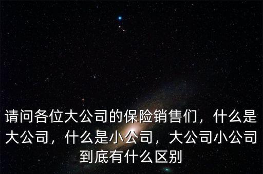 請問各位大公司的保險銷售們，什么是大公司，什么是小公司，大公司小公司到底有什么區(qū)別