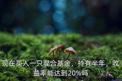 現(xiàn)在買入一只混合基金，持有半年，收益率能達(dá)到20%嗎