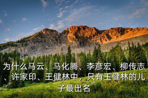 為什么馬云、馬化騰、李彥宏、柳傳志、許家印、王健林中，只有王健林的兒子最出名