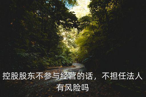 控股股東不參與經(jīng)營的話，不擔(dān)任法人有風(fēng)險(xiǎn)嗎
