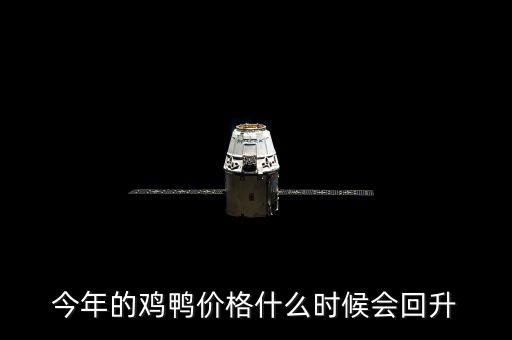 今年的雞鴨價(jià)格什么時(shí)候會(huì)回升
