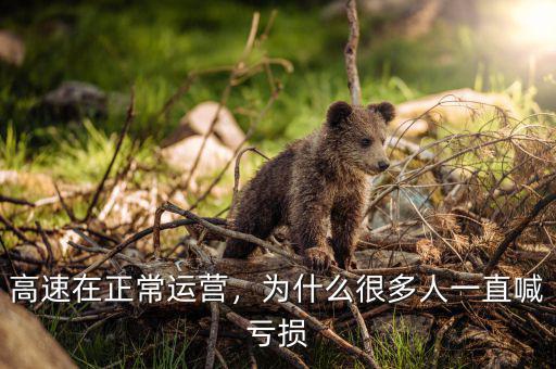高速在正常運(yùn)營(yíng)，為什么很多人一直喊虧損
