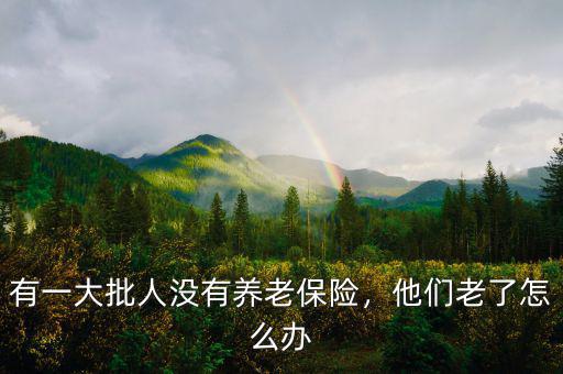 有一大批人沒(méi)有養(yǎng)老保險(xiǎn)，他們老了怎么辦
