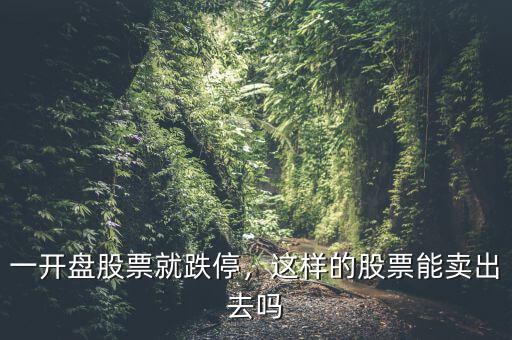 一開盤股票就跌停，這樣的股票能賣出去嗎