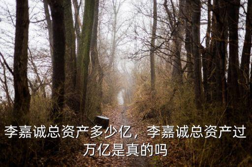 李嘉誠(chéng)總資產(chǎn)多少億，李嘉誠(chéng)總資產(chǎn)過(guò)萬(wàn)億是真的嗎