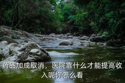 藥品加成取消，醫(yī)院靠什么才能提高收入呢你怎么看
