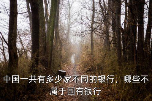 中國一共有多少家不同的銀行，哪些不屬于國有銀行