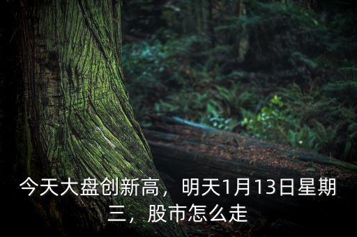 今天大盤創(chuàng)新高，明天1月13日星期三，股市怎么走
