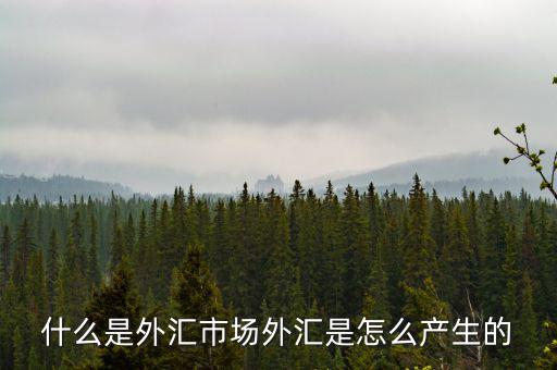 外匯de30是什么,什么是外匯市場(chǎng)