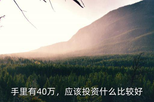 投資40萬元有什么項目,應該投資什么比較好