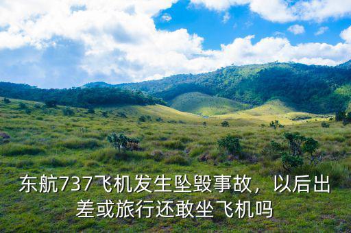 東航737飛機發(fā)生墜毀事故，以后出差或旅行還敢坐飛機嗎