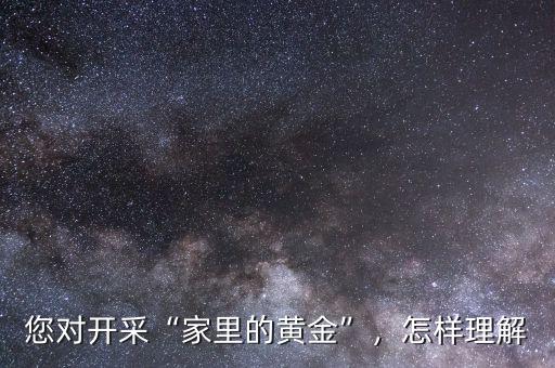 您對開采“家里的黃金”，怎樣理解